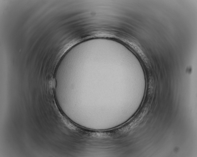 X0000098011281200804251106