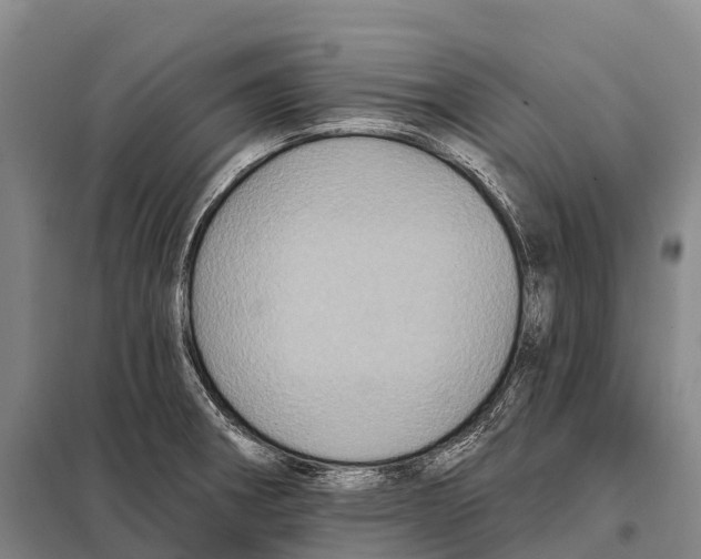 X0000098011282200804251106