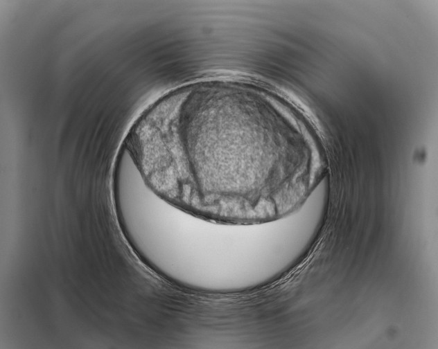 X0000098011283200804251106