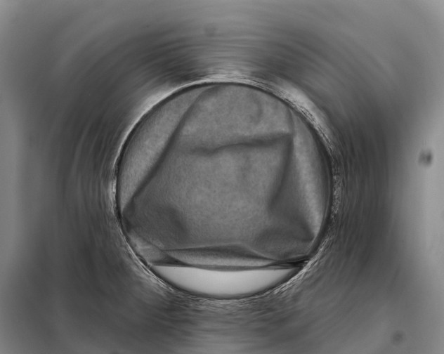 X0000098011284200804251106