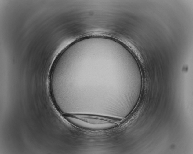 X0000098011285200804251106