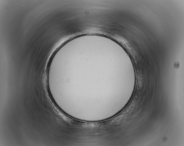 X0000098011286200804251106