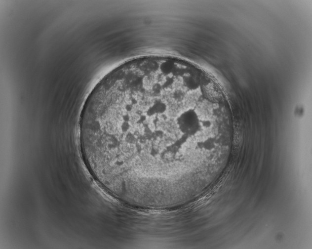 X0000098011287200804251106