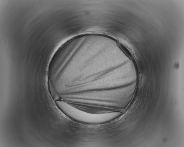 X0000098011288200804251106