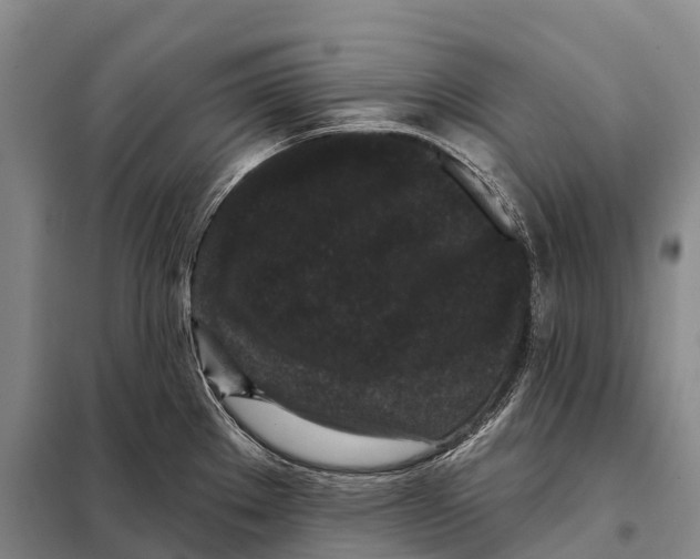 X0000098011289200804251106