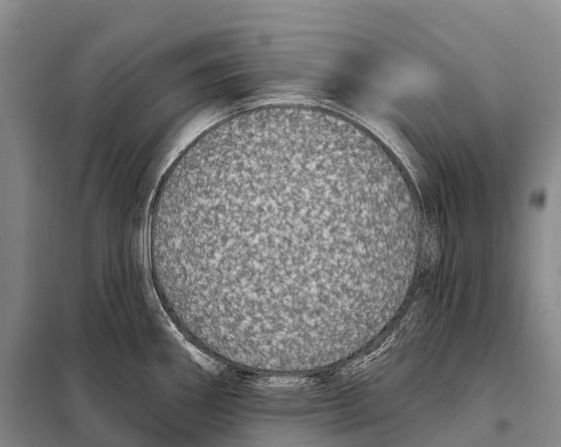 X0000098011290200804251106