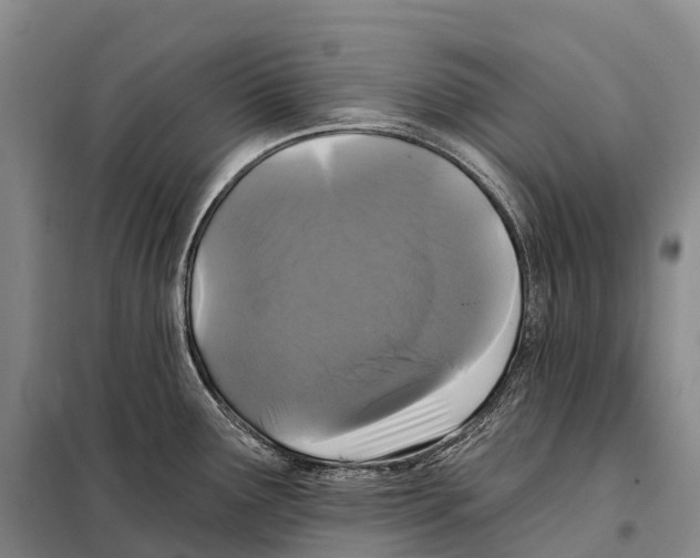 X0000098011291200804251106