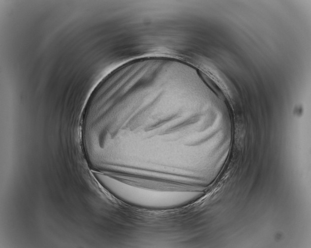 X0000098011292200804251106