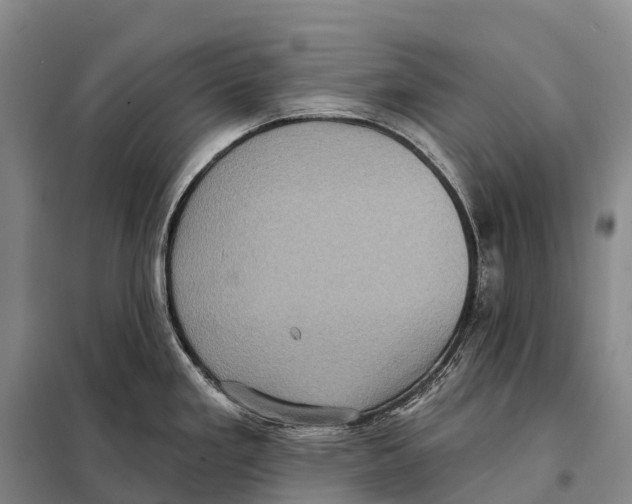 X0000098011293200804251106