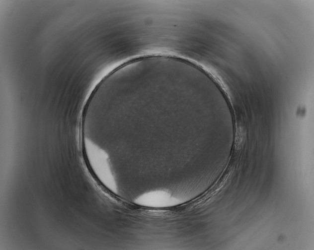 X0000098011295200804251106