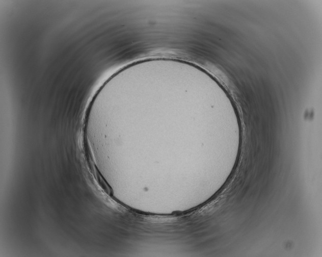 X0000098011296200804251106