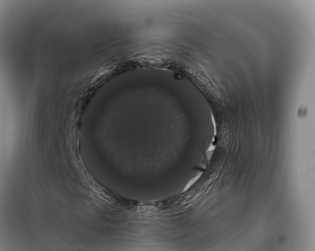 X0000098011297200804251105