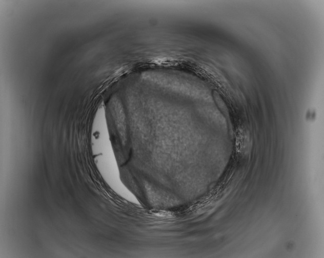 X0000098011298200804251105