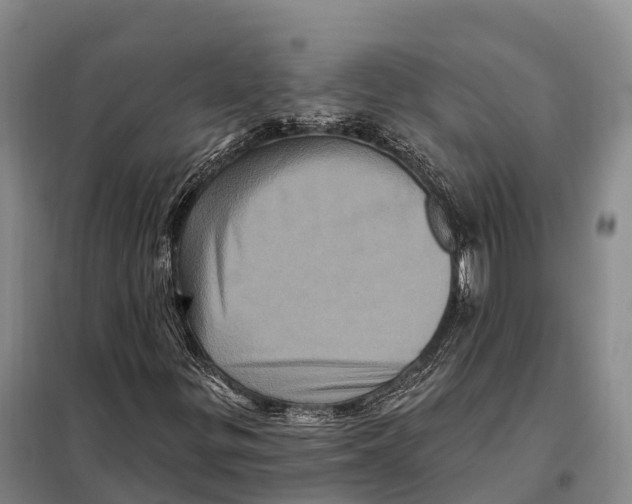 X0000098011299200804251105