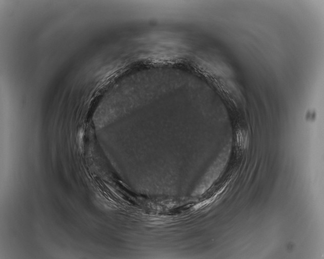 X0000098011300200804251105