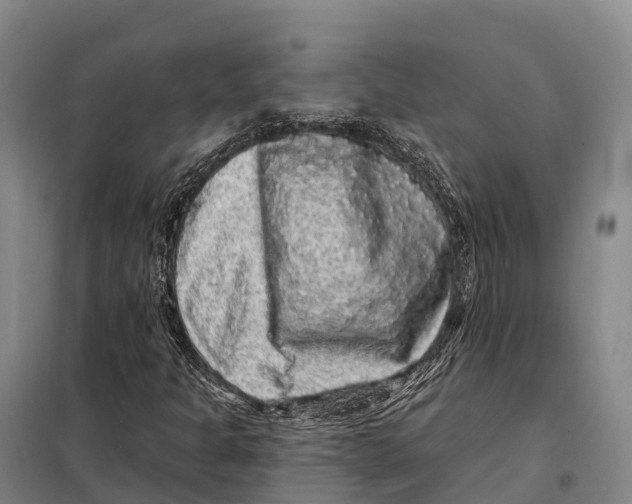 X0000098011301200804251105