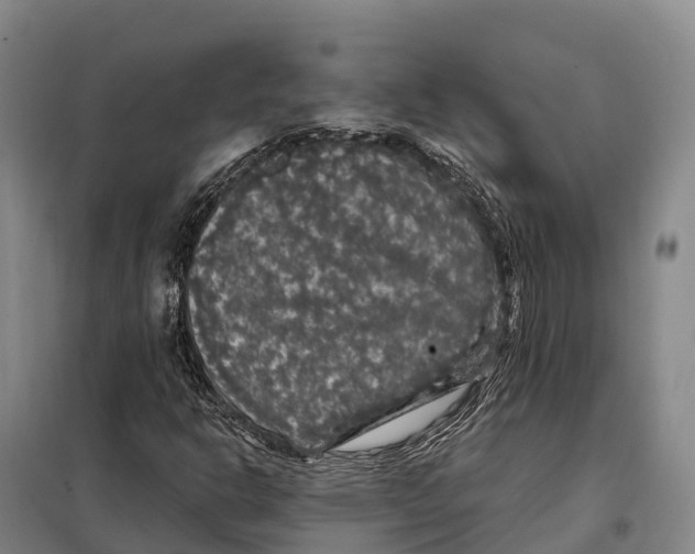 X0000098011302200804251105