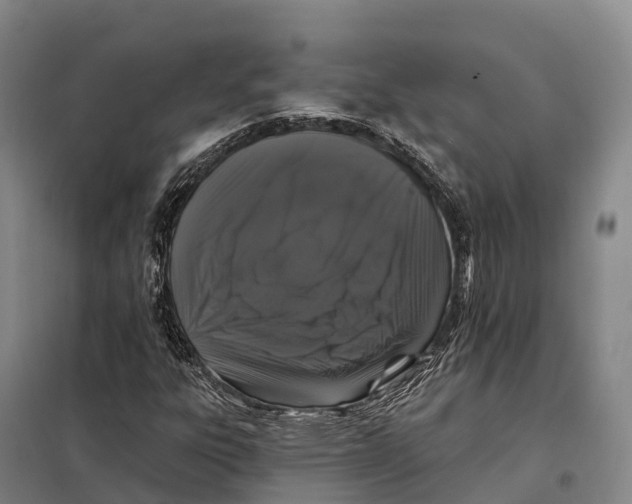 X0000098011303200804251105