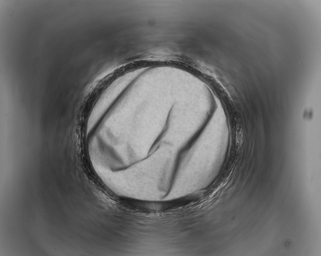 X0000098011304200804251105