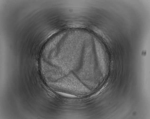 X0000098011305200804251105