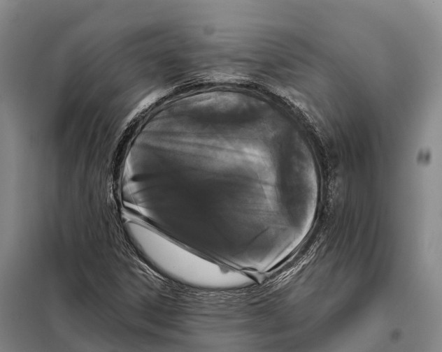 X0000098011306200804251105