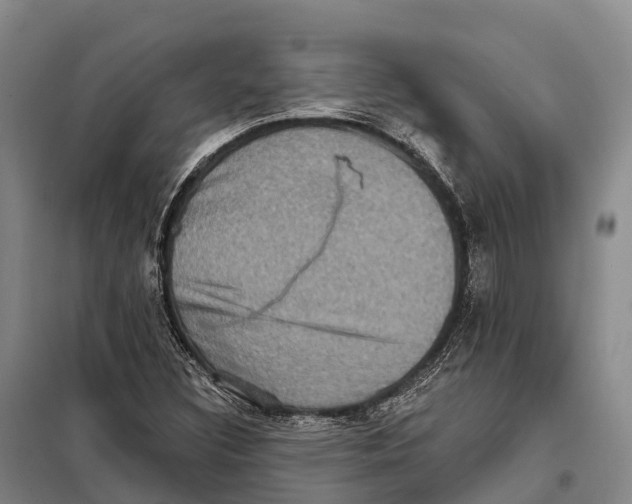 X0000098011308200804251105