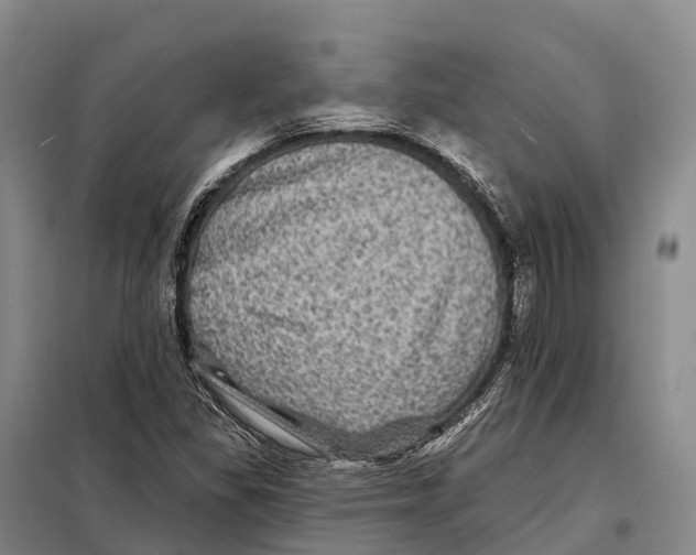 X0000098011309200804251105