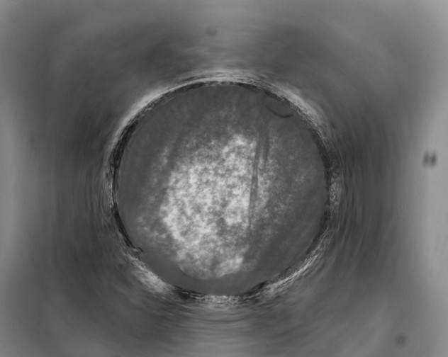 X0000098011310200804251105