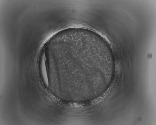 X0000098011311200804251105