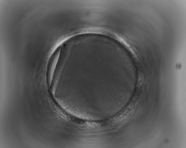 X0000098011312200804251105