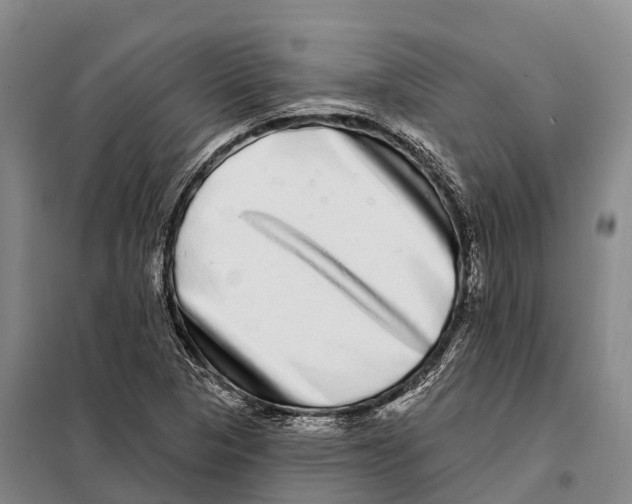 X0000098011313200804251105