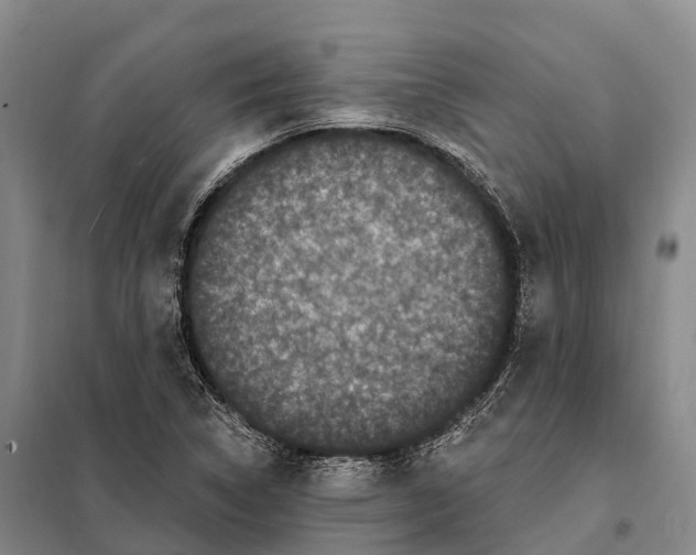 X0000098011314200804251105