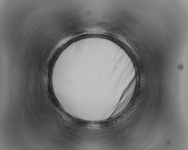 X0000098011315200804251105