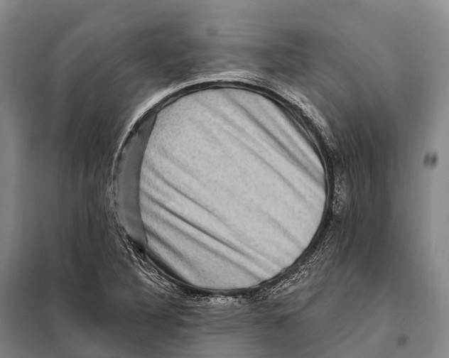 X0000098011316200804251105