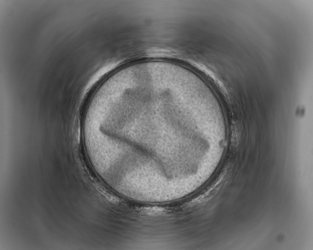 X0000098011317200804251105