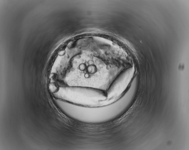 X0000098011318200804251105