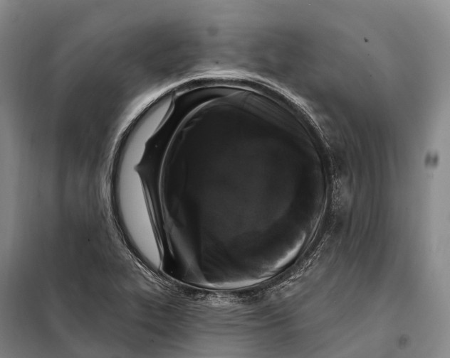 X0000098011319200804251105