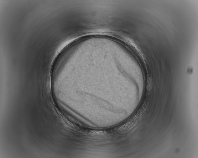 X0000098011320200804251105