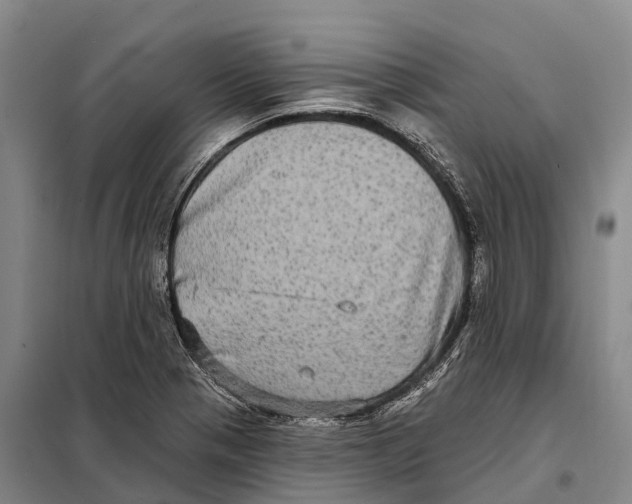 X0000098011321200804251105