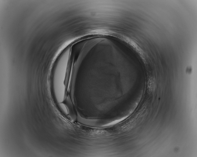 X0000098011323200804251105