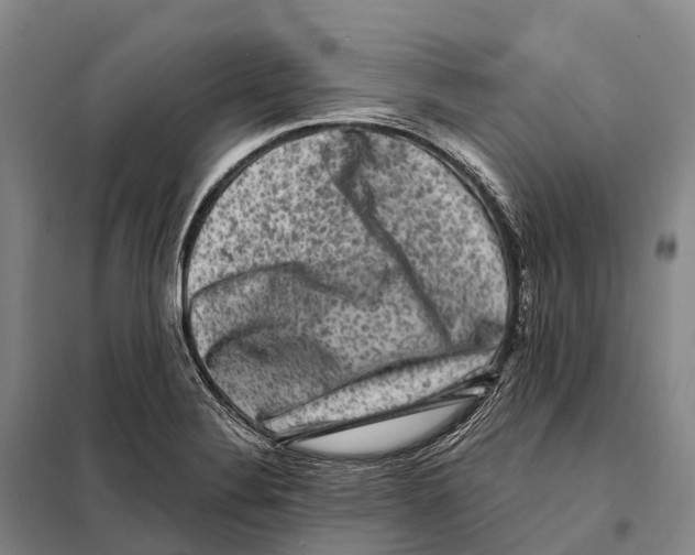 X0000098011324200804251105