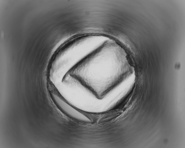 X0000098011325200804251105