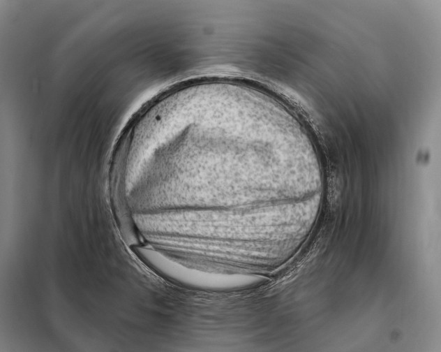 X0000098011326200804251105