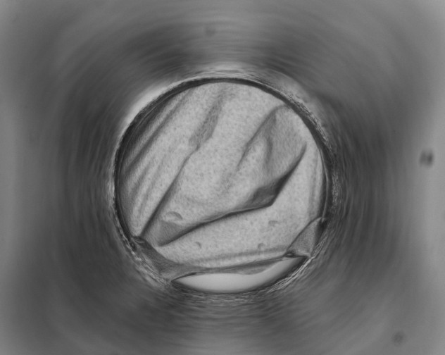 X0000098011328200804251105