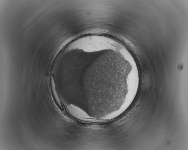 X0000098011329200804251105