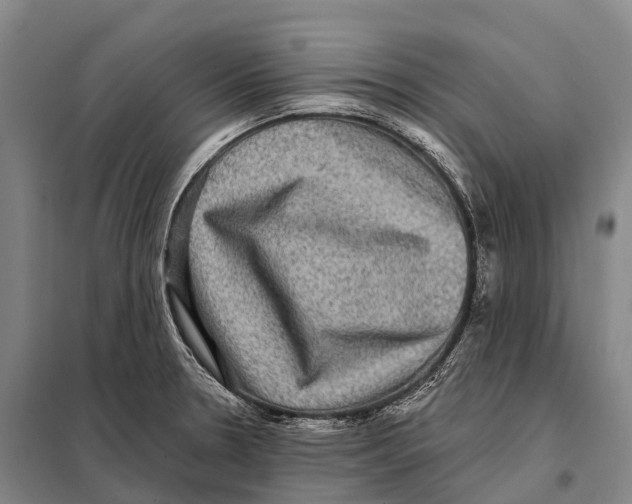 X0000098011330200804251105