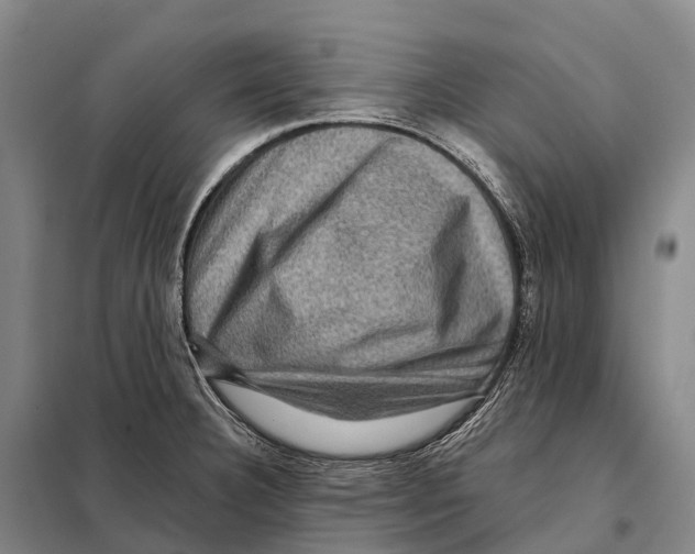 X0000098011332200804251105