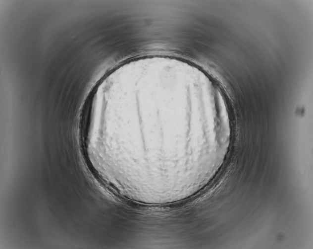 X0000098011333200804251105