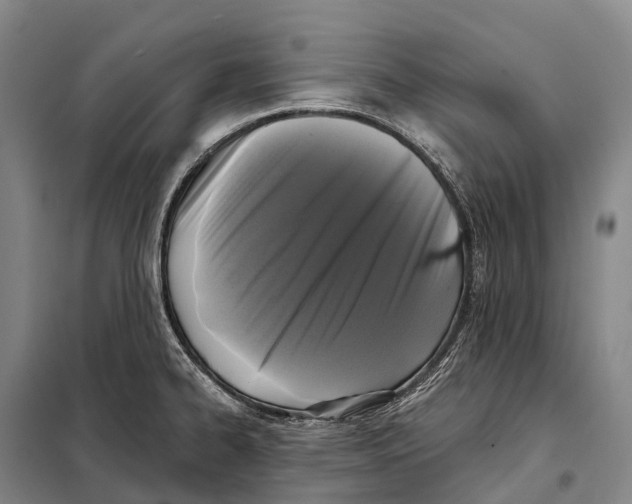 X0000098011334200804251106