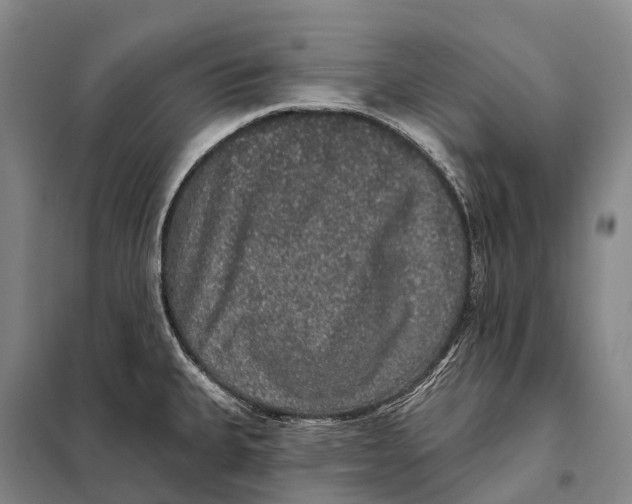 X0000098011335200804251106